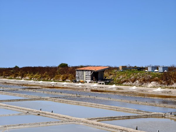 Où trouver un camping sur l'Ile de Ré avec emplacement tente en été ?