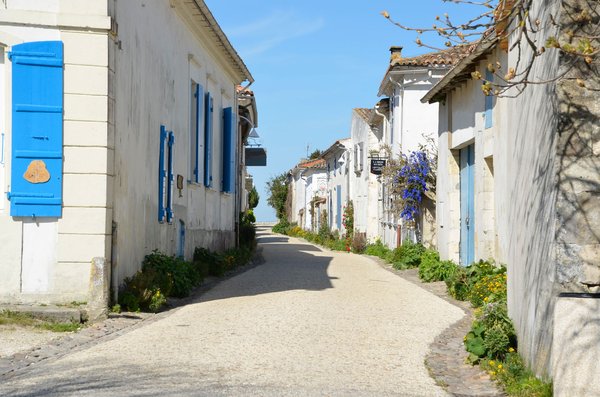 Ars en Ré, commune phare de l'île de Ré